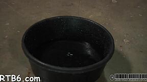 Male domination and female submission in a wild and kinky video