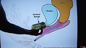 그녀를 이렇게 분수하게 하는 방법