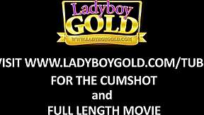 Эй, Хочешь Посмотреть, Как Я Без Презерватива Трахаю Эту Транса Жёстко?