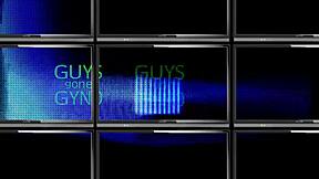 Bakom Kulisserna av Phoenix Roses Mänskliga Marsvin Film med Ljussättning Kamera Action