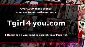 Angelina trans se une a tgirls en trío salvaje