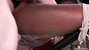 Babe Ebony Amarrada Grita Durante Foda Interracial Bruta!