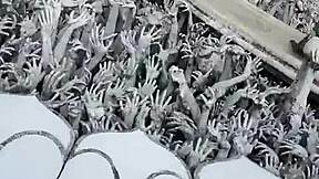 Ever Seen Chaing Rai's Magical White Temple? Travel Thailand!