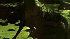 Secret vintage milf hairy pussy erotic retro beaver tease