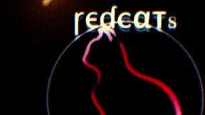 discover shemale doll's big cock secrets bent over