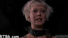 naughty couple plays lusty collaring game contest