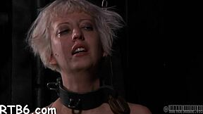 naughty couple plays lusty collaring game contest