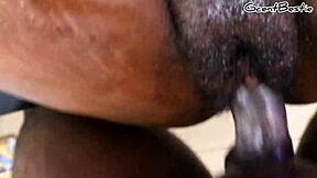 Huge Cock Fills Petite 18+ African Pussy Close-Up Missionary Creampie Despite Her Begging No