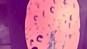 imagine giants towering in linda's huge pantyhose home world?