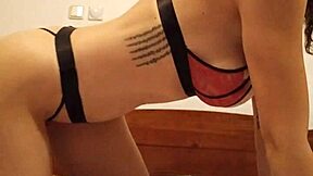 tildzo wet serbian pornstar pussy big tits lingerie