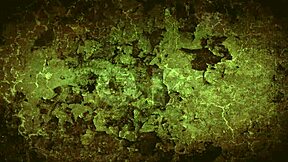 oh my secret vintage granny with hairy fanny gives sloppy blowjob cumshot