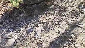 Young slut driver gets clothes ripped off for deepthroat and hard roadside fuck