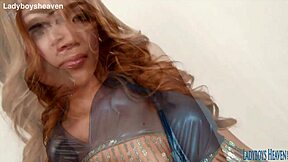 Thai ladyboy Pinky teases cock solo, craving your gaze?