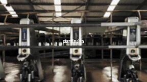 Bound Whore Suffers in Mistress April's Kinky Garden BDSM Domination