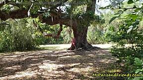 ms paris spots horny voyeurs in the park ready for outdoor doggy and cumshots?