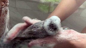 Big stepsis strokes stepbro monster bbc while parents away home