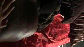 Haitian Queen Moans Loud On Huge Caribbean Florida Cock