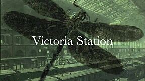 Dragonfly Freddie's Retro Orgy Unleashed