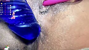 Chilena milf webcam solo fingers hairy pussy and ass with lovense toy control