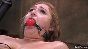 Huge tits slave, how's that bound ass and cunt feel under rough torment?!