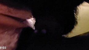 Tiny Stripper Bii Takes Big Black Cock in Wet Pussy