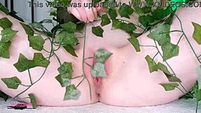 i tease my ivy plants during solo playtime