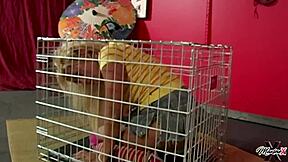 Can you believe super submissive Maxine X crawls out cage for big pussy orgasm?!