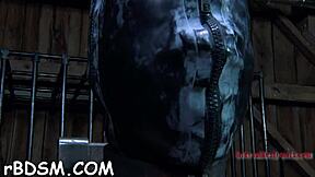 t beautys fuck holes get used hard