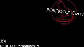 tied wife gets multiple creampies from stranger