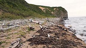 Fatal meeting of the exhibitionist and a stranger on the sea beach
