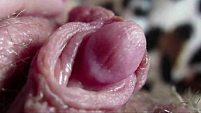 Big Clit Closeup View During Intense Orgasm