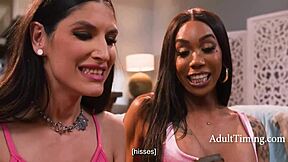 2 trans dicks 1 girl - jewelz blu zariah aura leilani li adulttiming