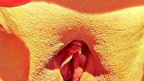 Maturemons horny mature displays super close up wide open cunt.
