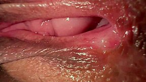 you try fucking gigis tight butthole on her birthday