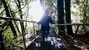 i got caught having sex in the forest