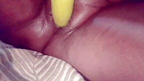 Desibhabhi sex had sex with brinjal today