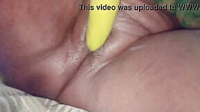 Desibhabhi sex had sex with brinjal today