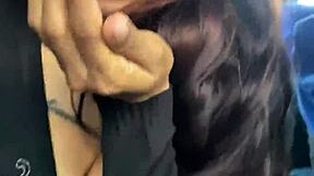 Cuñada swallows on the bus ride
