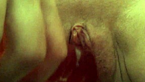 daily video from august 11 2015