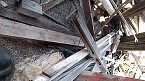 Exploring the charming old town of Mexico