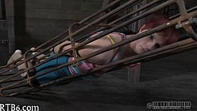 does this upside down blowjob thrill you?