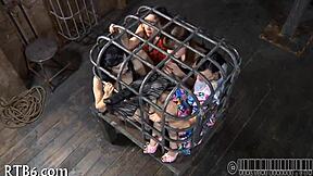 Free Sadomasochism Erotica Available