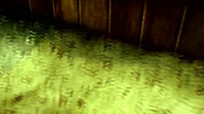 family rules 02 in 3d cartoon adventure