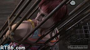 Hardcore Sadomasochism Porn!