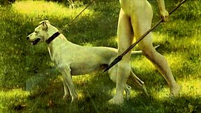 what's so hot about vintage erotic cartoons like this?