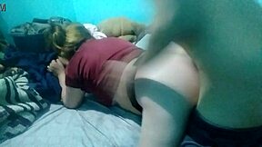 Perrita Cogiendo En La Cama.