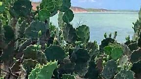 Videos vazados do tik tok