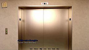 exploring new memories in animated homemade adventures