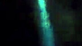 ebony sucking big black dick with monster cock