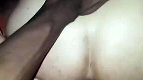 파벨라 순회 큰 검은 자지들